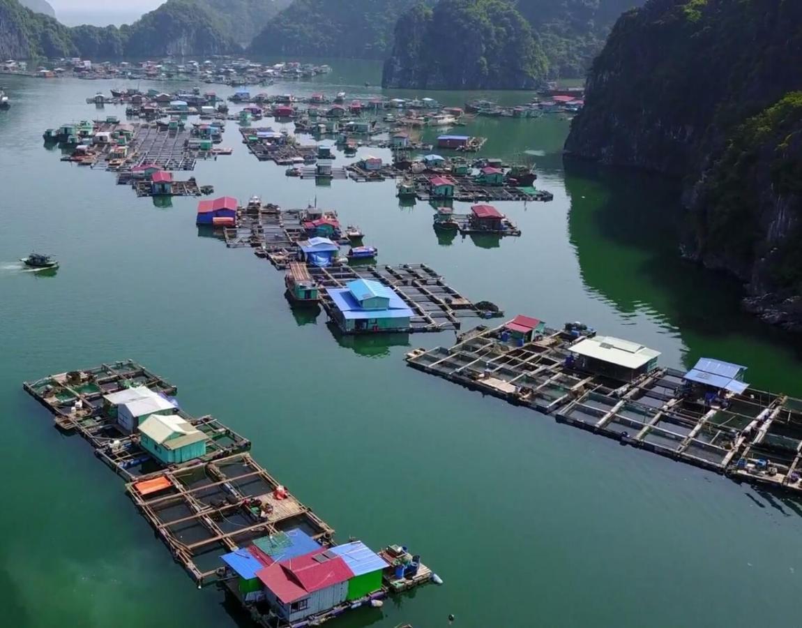 Cat Ba Thailand Hotel Dong Khe Sau Kültér fotó